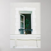 GREEN PLANT ON WHITE WINDOW POSTER (Voorkant)