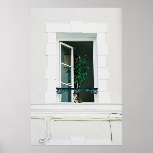 GREEN PLANT ON WHITE WINDOW POSTER (Voorkant)