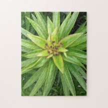 Green Pointed-Leaf Plant Puzzle door Darin Jones