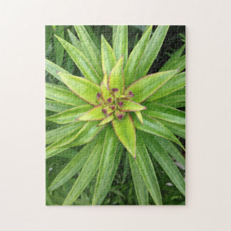 Green Pointed-Leaf Plant Puzzle door Darin Jones Legpuzzel