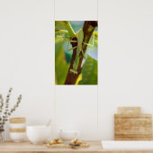 Green Praying Mantis Macro Photography Wall Art Poster (Keuken)