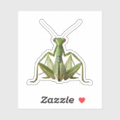 Green Praying Mantis Sticker (Vel)