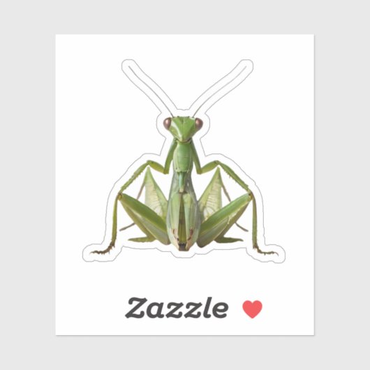 Green Praying Mantis Sticker (Vel)