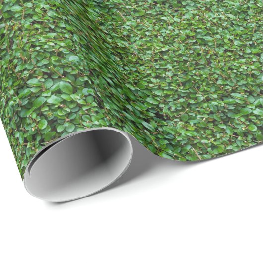 Green Privet Hedge Cadeaupapier (Rol Hoek)