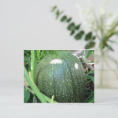 Green Pumpkin Briefkaart (Staand voorkant)