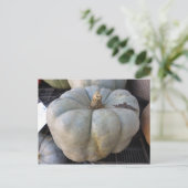 Green Pumpkin Briefkaart (Staand voorkant)