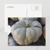 Green Pumpkin Briefkaart (Voorkant / Achterkant)