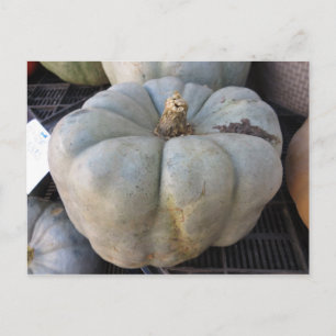 Green Pumpkin Briefkaart