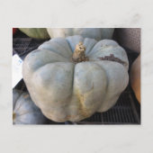 Green Pumpkin Briefkaart (Voorkant)