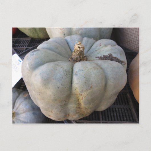 Green Pumpkin Briefkaart (Voorkant)