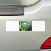 Green Pumpkin Bumpersticker (Op auto)