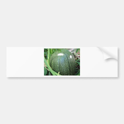 Green Pumpkin Bumpersticker (Voorkant)