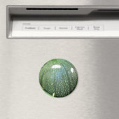 Green Pumpkin Magneet (Insitu (Vaatwasser))