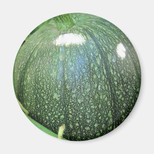 Green Pumpkin Magneet (Voorkant)
