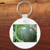 Green Pumpkin Sleutelhanger (Voorkant)