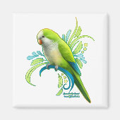 Green Quaker Parrot Magneet (Voorkant)
