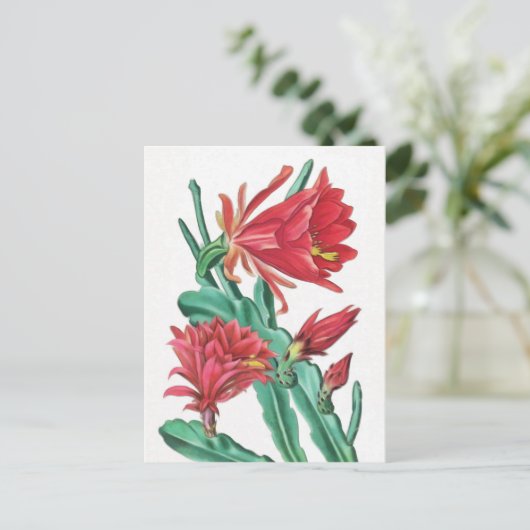 Green Red Blooming Cactus Briefkaart (Staand voorkant)