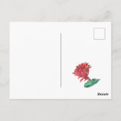 Green Red Blooming Cactus Briefkaart (Achterkant)