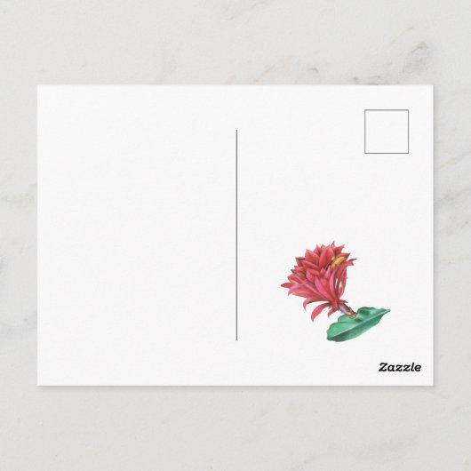 Green Red Blooming Cactus Briefkaart (Achterkant)