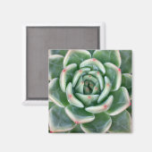 Green Red Tipped Succulent Magneet (Voorkant / Achterkant)