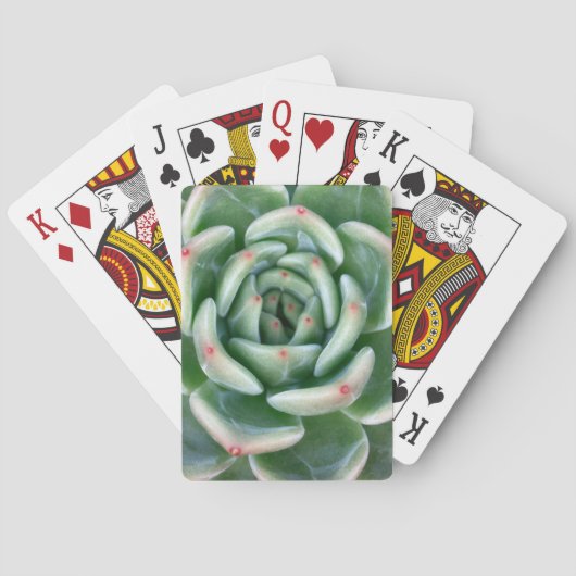 Green Red Tipped Succulent Pokerkaarten (Achterkant)