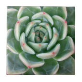 Green Red Tipped Succulent Tegeltje (Voorkant)