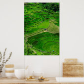 Green Rice terraces, Filipijnen Poster (Keuken)