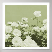 Green Roses Floral Garden Photo Art Print Poster (Voorkant)