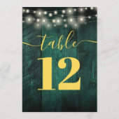 Green Rustic Barn Wood String Lights Tafelnummer (Achterkant)