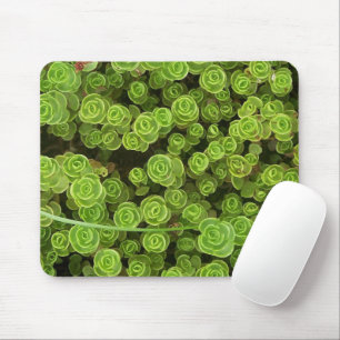 Green Sedum Mousepad 2 Muismat
