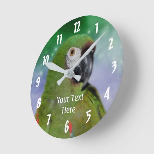 Green Severe Macaw Parrot Animal Ronde Klok (Hoek)