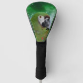 Green Severe Macaw Parrot Bird Art Golfheadcover (Voorkant)