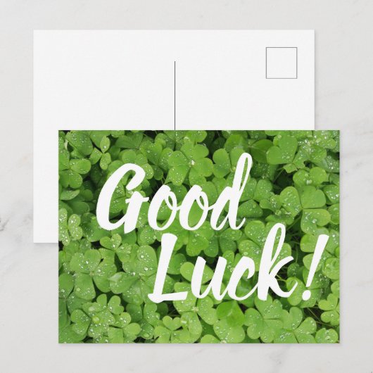Green Shamrock Good Luck-groetenkaart Briefkaart (Voorkant / Achterkant)