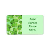Green Shamrock St Patrick's Day adresetiketten Etiket (Voorkant)