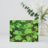 Green Shamrock St Patrick's Day Briefkaart (Staand voorkant)