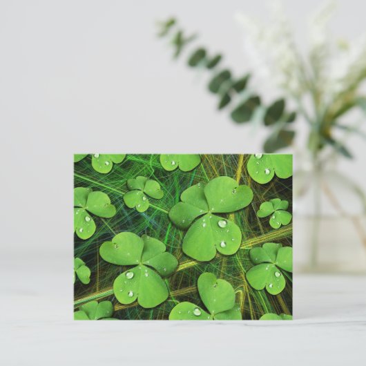 Green Shamrock St Patrick's Day Briefkaart (Staand voorkant)