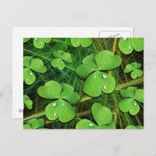 Green Shamrock St Patrick's Day Briefkaart (Voorkant / Achterkant)
