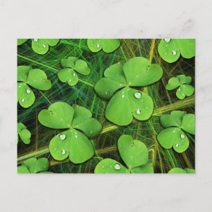 Green Shamrock St Patrick's Day Briefkaart