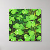 Green Shamrock St Patrick's Day Canvas Print (Voorkant)