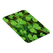 Green Shamrock St Patrick's Day Flexi Magnet Magneet (Rechterzijde)