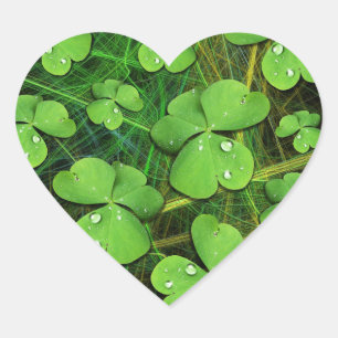 Green Shamrock St Patrick's Day Sticker