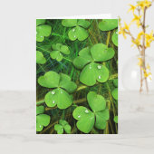 Green Shamrock St Patrick's Day Wenskaart Kaart (Gele Bloem)