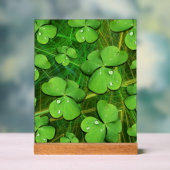Green Shamrock St Patrick's iPhone 5 Hoesje-Mate Acryl Bord (Neutraal)