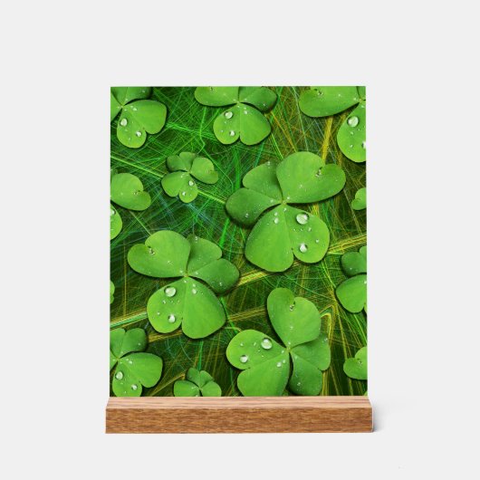 Green Shamrock St Patrick's iPhone 5 Hoesje-Mate Acryl Bord (Voorkant)