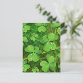 Green Shamrock St Patrick's iPhone 5 Hoesje-Mate Briefkaart (Staand voorkant)
