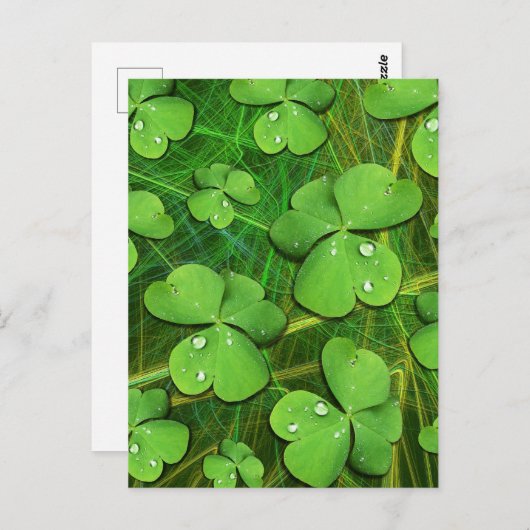 Green Shamrock St Patrick's iPhone 5 Hoesje-Mate Briefkaart (Voorkant / Achterkant)
