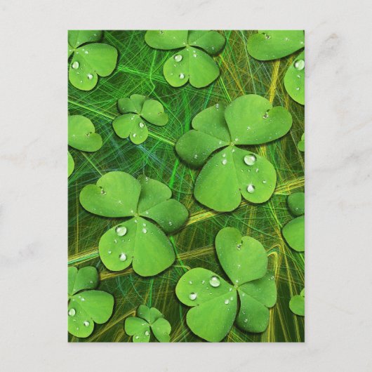 Green Shamrock St Patrick's iPhone 5 Hoesje-Mate Briefkaart (Voorkant)