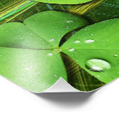 Green Shamrock St Patrick's iPhone 5 Hoesje-Mate Foto Afdruk (Hoek)