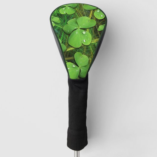 Green Shamrock St Patrick's iPhone 5 Hoesje-Mate Golfheadcover (Voorkant)