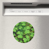 Green Shamrock St Patrick's iPhone 5 Hoesje-Mate Magneet (Insitu (Vaatwasser))